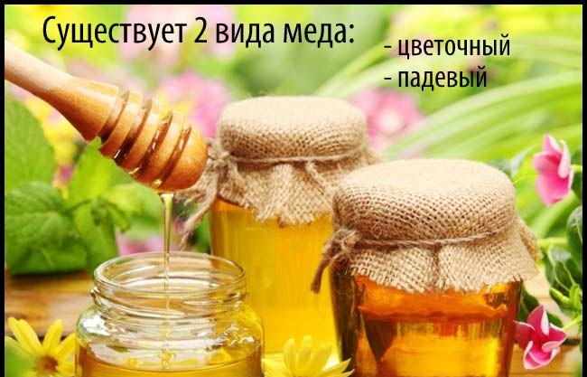Виды меда